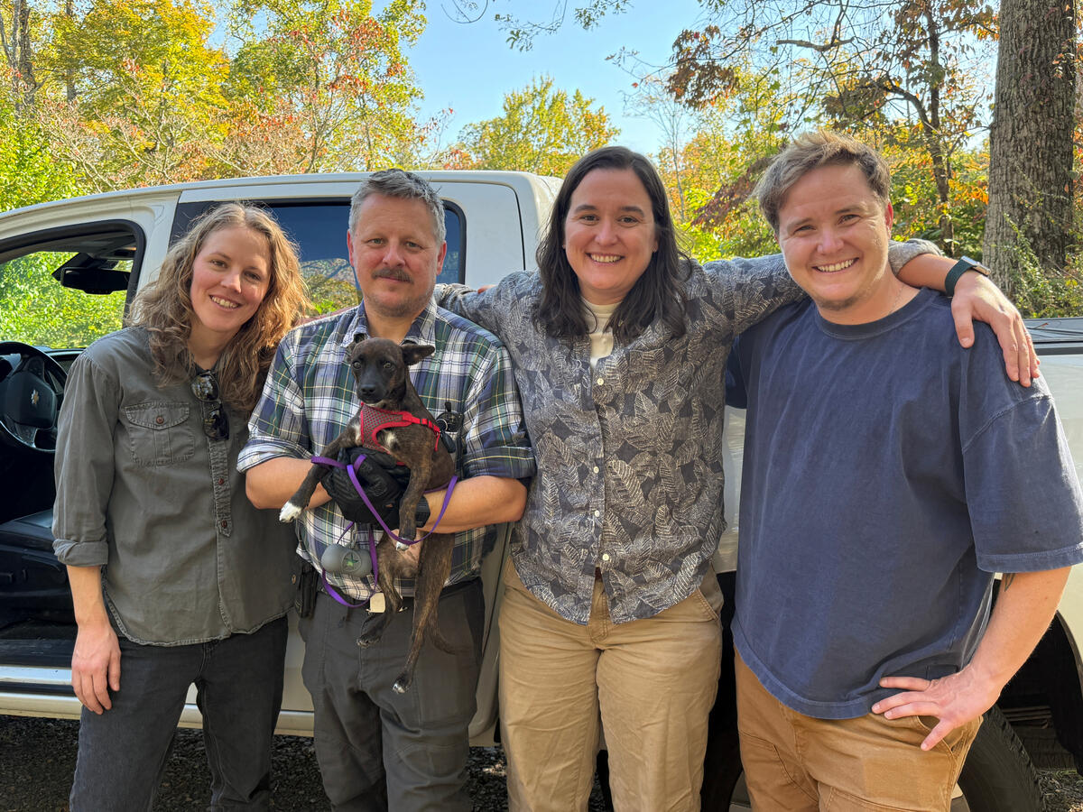 WCS Dalton's Scene WCS Dalton's Scene